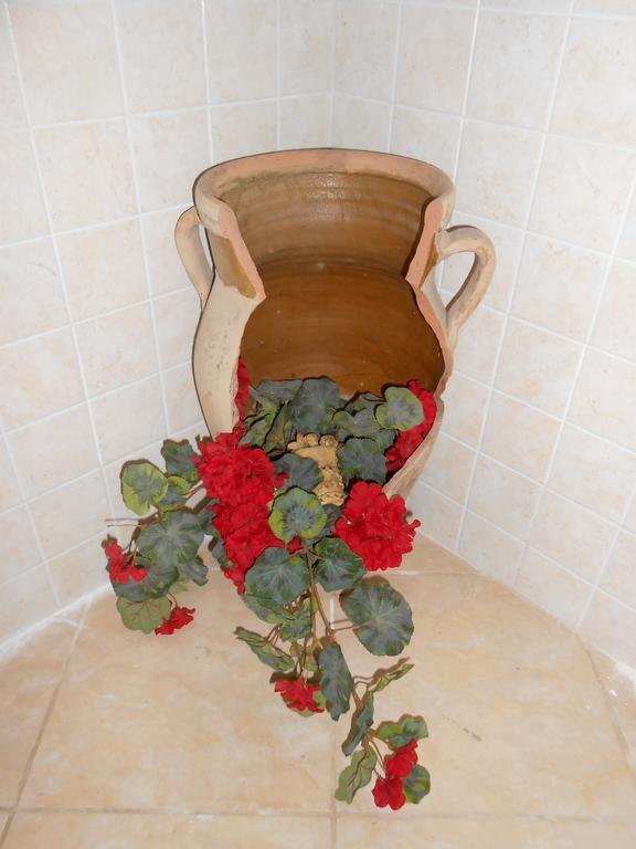 Apartment Giglio *